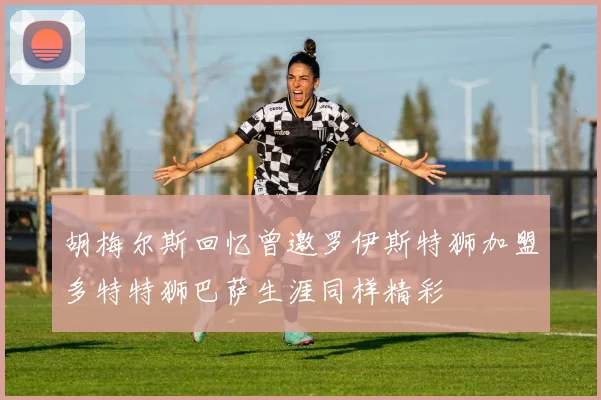 胡梅尔斯回忆曾邀罗伊斯特狮加盟多特特狮巴萨生涯同样精彩